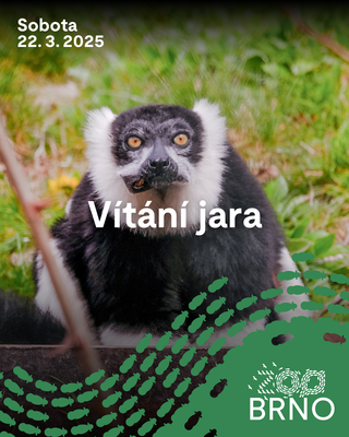 Vítání jara
